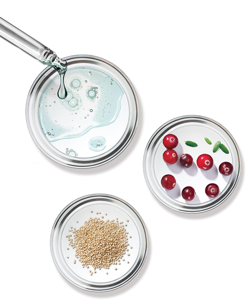 Performance Driven Skincare Innovation Image showing a Petri-dish and various ingredients