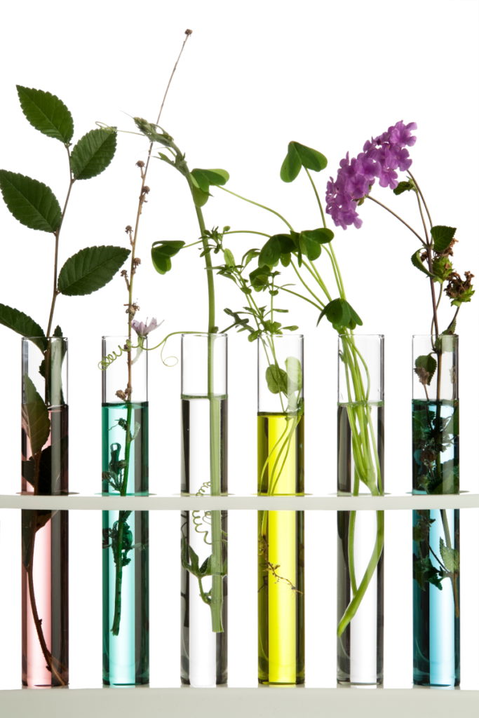 Cosmetic Solutions Client Success section image features a row of test tubes with private label skincare formulas and botanicals inside each test tube.